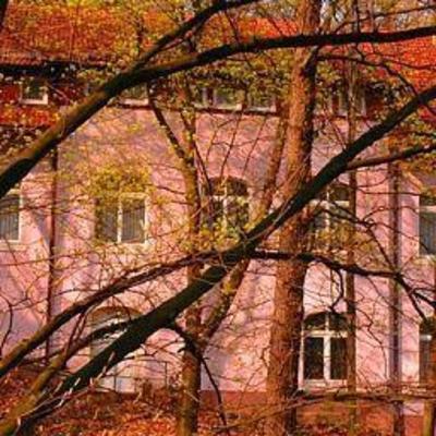 фото отеля Hotel Goldgrund