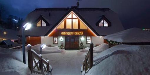 фото отеля Pension Kubu
