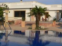 B&B LeucAsino