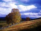 фото отеля Loch Ness Clansman Hotel