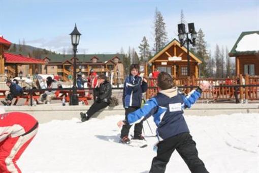 фото отеля Sunshine Chalet