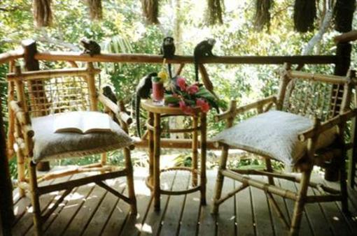 фото отеля Aldeia Da Mata Lodge Itacare