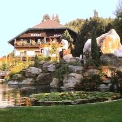 фото отеля Seehotel Steiner