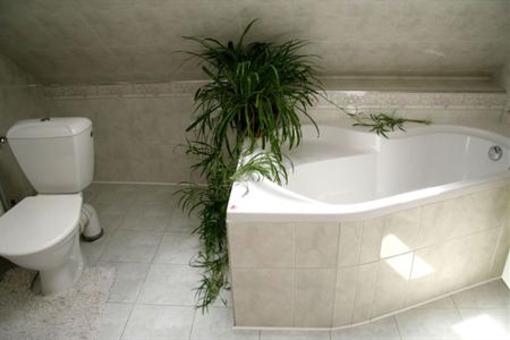 фото отеля Apartman Horni