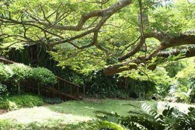 фото отеля Ndiza Lodge St. Lucia
