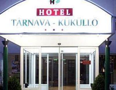 фото отеля Tarnava Hotel