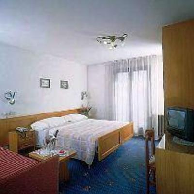фото отеля Hotel Alpina Pinzolo