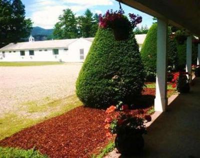 фото отеля Clarendon Motel
