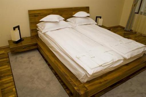 фото отеля Pension Anthimos Baile Felix