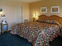 Pepper Tree Inn
