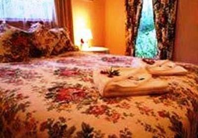 фото отеля Treenbrook Cottages Yeagarup