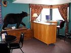 фото отеля Black Bear Lodge
