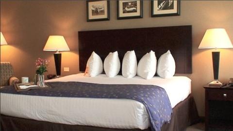 фото отеля Holiday Inn North Aurora (Illinois)