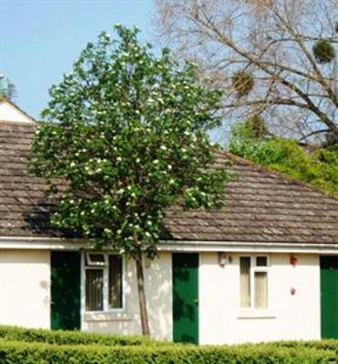 фото отеля Briarfields Motel & Touring Park