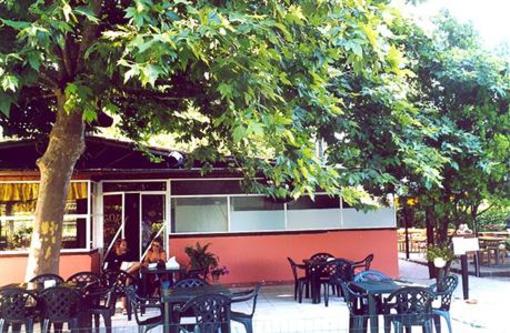 фото отеля Camping Village Internazionale Lago di Bracciano