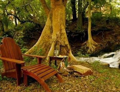 фото отеля Pestana Kruger Lodge