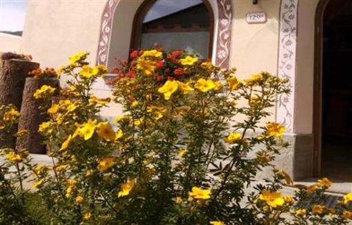 фото отеля Hotel Garni Costanza