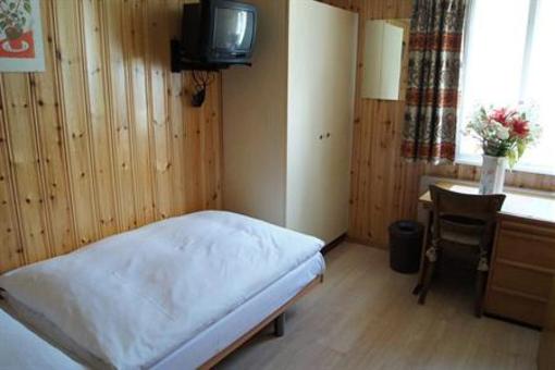 фото отеля Hotel Alpina Zermatt