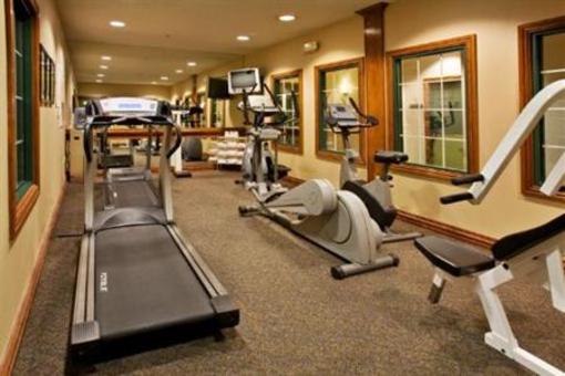 фото отеля Holiday Inn Express Hotel & Suites Dallas-Addison
