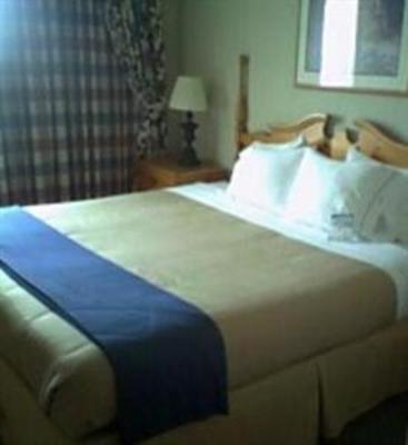 фото отеля Holiday Inn Express Hotel & Suites Dallas-Addison