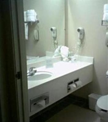 фото отеля Holiday Inn Express Hotel & Suites Dallas-Addison