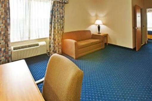 фото отеля Holiday Inn Express Hotel & Suites Dallas-Addison