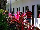 фото отеля Red Carpet Inn Nassau