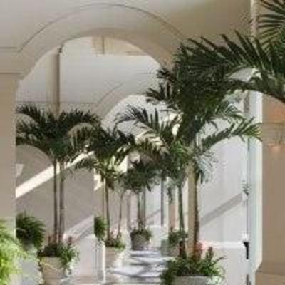 фото отеля Grand Hyatt Tampa Bay