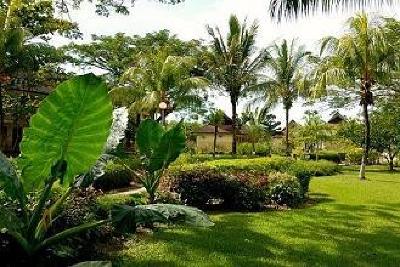 фото отеля Beringgis Beach Resort