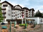 фото отеля Sunstar Hotel Surselva Flims