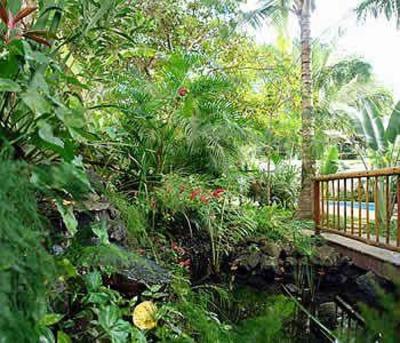 фото отеля Pousada Coqueiro Verde Itacare