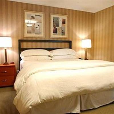 фото отеля 7 Springs Inn & Suites
