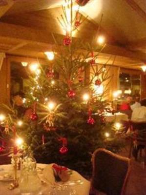 фото отеля Hotel Alpenrose Wengen
