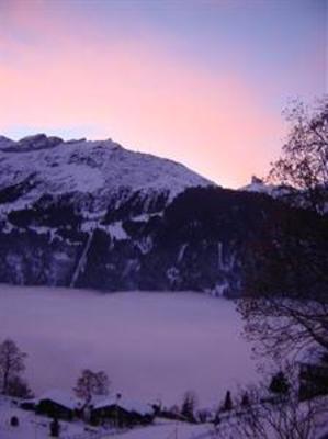 фото отеля Hotel Alpenrose Wengen