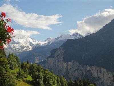 фото отеля Hotel Alpenrose Wengen