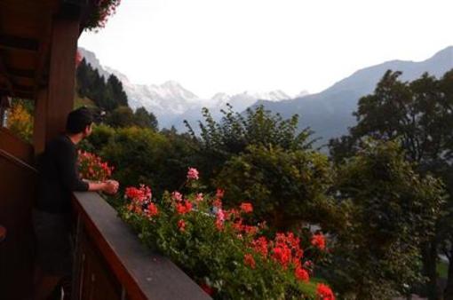 фото отеля Hotel Alpenrose Wengen