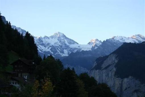 фото отеля Hotel Alpenrose Wengen