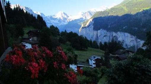 фото отеля Hotel Alpenrose Wengen