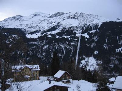 фото отеля Hotel Alpenrose Wengen