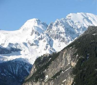 фото отеля Hotel Alpenrose Wengen