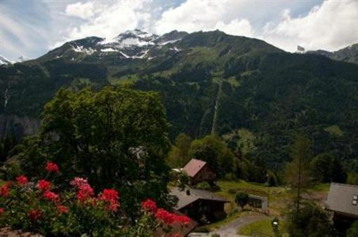 фото отеля Hotel Alpenrose Wengen