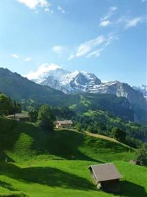 фото отеля Hotel Alpenrose Wengen