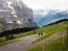 фото отеля Hotel Alpenrose Wengen