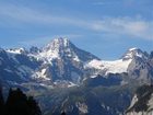 фото отеля Hotel Alpenrose Wengen