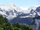 фото отеля Hotel Alpenrose Wengen