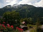 фото отеля Hotel Alpenrose Wengen