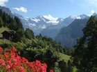 фото отеля Hotel Alpenrose Wengen