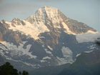 фото отеля Hotel Alpenrose Wengen