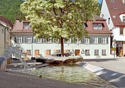 фото отеля Hotel Adler Blaubeuren