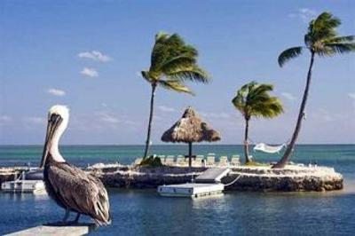 фото отеля Chesapeake Beach Resort